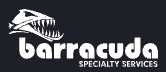 Barracuda Careers